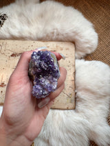 Amethyst Cluster - Mini