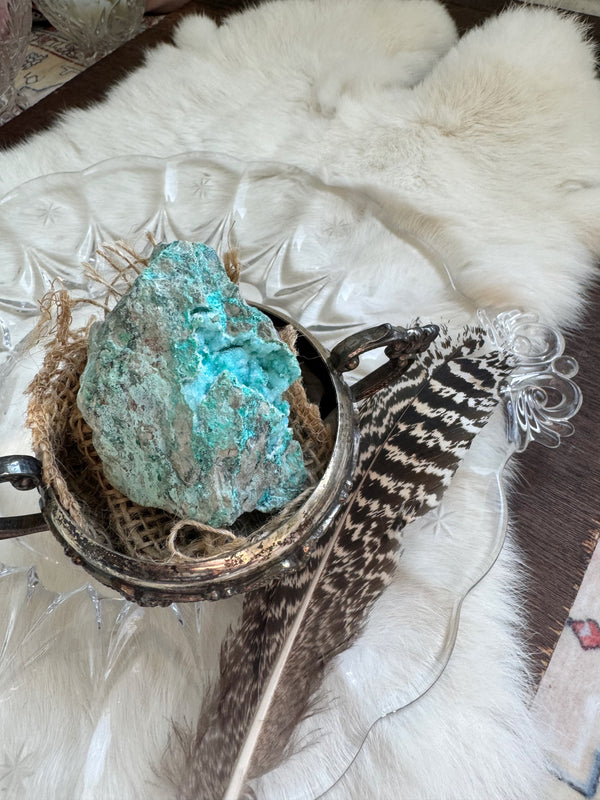 Chrysocolla Druzy Cluster