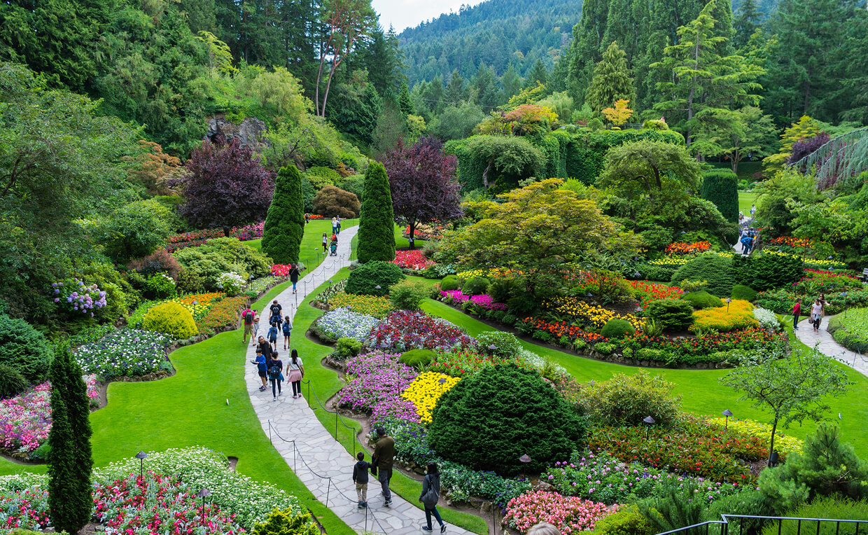 Best Landscape Planting Services