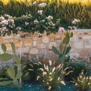 Best Landscape Planting Services