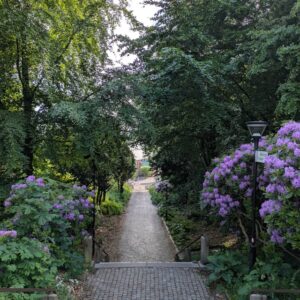 Best Landscape Planting Services