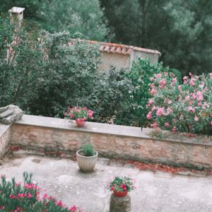 Best Landscape Planting Services