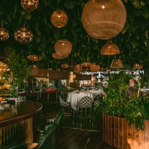 Commercial Landscape Lighting